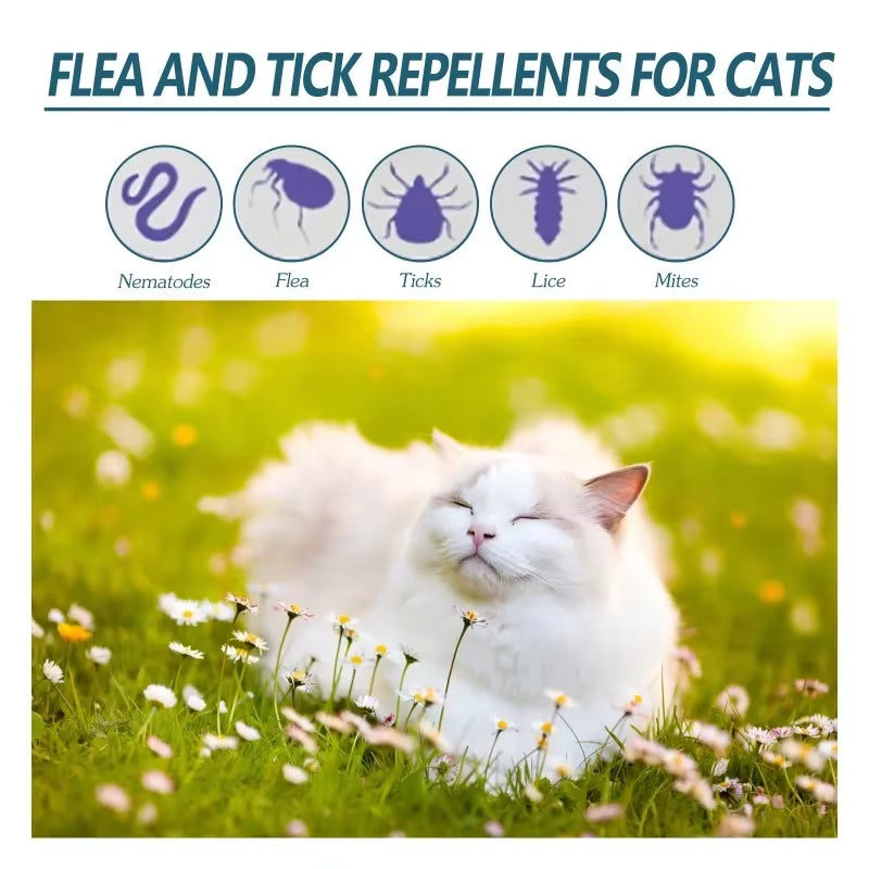 50Ml Pet anti Flea Tick Agent for Cats, Dogs, and Dogs. Extracorporeal Deworming Skin Cleaning Agent for Lice, Ticks, and Ticks